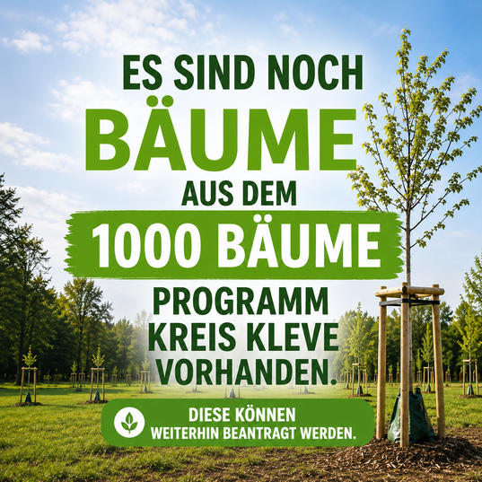 1000 Bäume