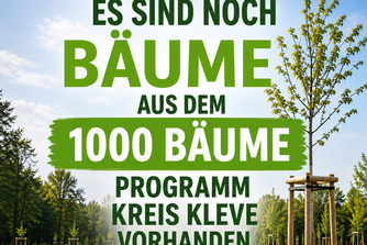 Es sind noch Bäume da!