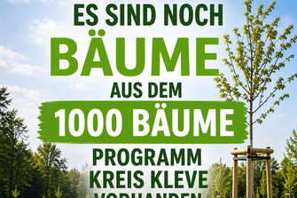 Es sind noch Bäume da!