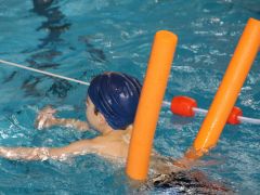 Antrag  Schwimmen lernen – Sicherheit der Kinder und Jugendlichen verbessern!