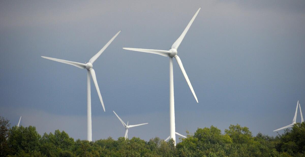 Windenergieanlagen im Reichswald Kleve
